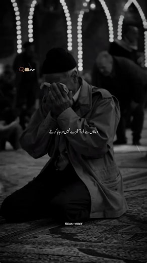 Muslim Creator Search Insights for Auditions