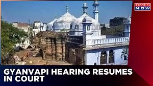 What's Inside Gyanvapi Mosque? Swastik Symbols, Hindu Idols | Latest English News | Mirror Now