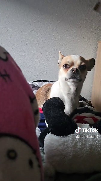 Beginner ASMR Tapping and Mouth Sounds for Relaxation