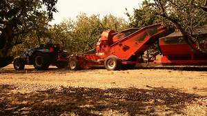 26 reactions · 12 shares | Harvest season is well under way for our farmers. Take a look at an almond’s journey from orchard to you! | California Almonds | Facebook