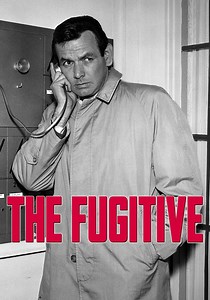 El fugitivo - Ver la serie online completa en español