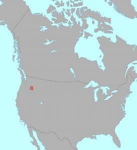 Cayuse people - Alchetron, The Free Social Encyclopedia