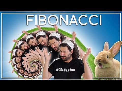 Sucesión de Fibonacci: ¿Los números que controlan el universo?