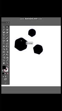 Using the Lasso Tool in Adobe Illustrator