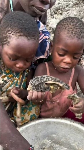 #africa #food #animals #eating #funny #duet #wildlife #nature