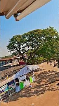 Replacing a T8 LED tube is easy.