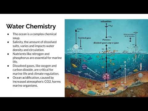 Marine Ecosystems 101 - Slideshow Digital Audio Presentation