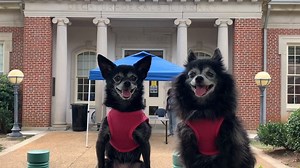 3.2K views · 55 reactions | Leni and Marley from Puppy Songs want to show you how easy contact-free pickup at your local DeKalb County Public Library is! ‎‎  Matt Hobbs | DeKalb County Public Library | Facebook