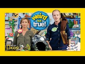 Avalanche in the Craft Room of “Weird But True!” | Weirdest, Bestest, Truest