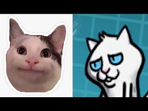 Beluga Cat?!