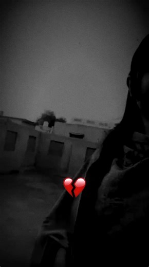 Emotional Moments of Solitude and Support