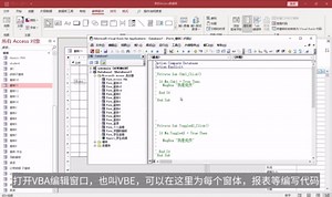 Access VBA代码加密的方法及注意事项