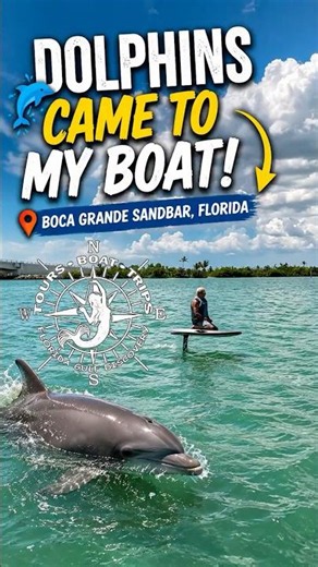 🥇 Dolphins Came Within Inches of Me at Boca Grande Sandbar! 🐬