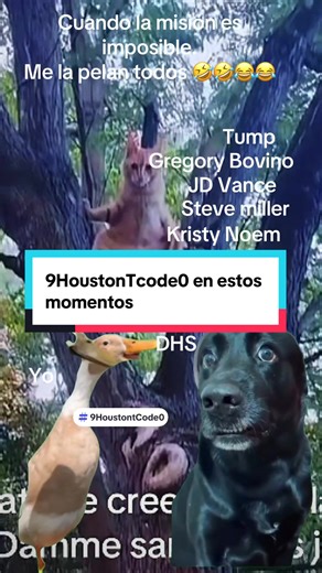 #Meme #MemeCut lol 😂 me la pelean todos puñetas #9HoustontCode0 #latinosunidos🇵🇪🇧🇷🇦🇷🇲🇽🇦🇲🌎🇬🇹🇸🇻🇨🇴🇳🇮🇭🇳🇲🇽 @Carlos_Eduardo_Espina @Telemundo40 @Benjamín Zamora @Fox News @Telemundo New Orleans @News Nation @ABC News @Benjamín Zamora