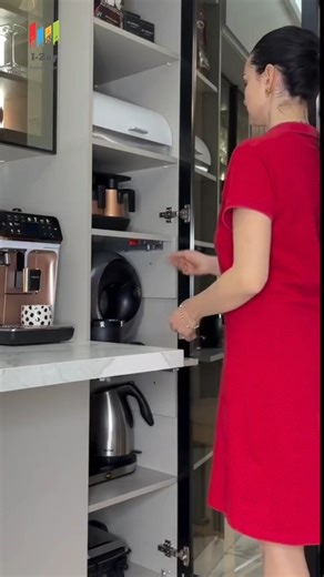 Organized Kitchen Cabinet 😍🍽️ | Smart Storage for Appliances #Shorts