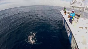 New episodes of FSFTV every Wednesday at 8pm on our YouTube channel! Subscribe now at youtube.com/floridasportfishing | Florida Sport Fishing