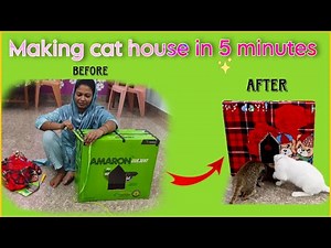 “Make a Cat House in JUST 5 Minutes! 😻🏠 | Super Easy DIY Cat House Tutorial” ‪@cutebabykitten0786‬