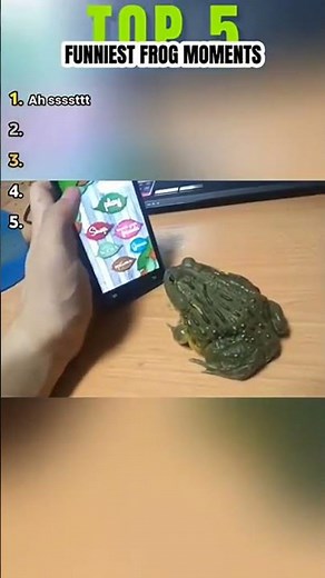 Top 5 Funniest Frog Moments (WATCH TILL END)