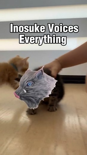 4.6K views · 2.4K reactions | Inosuke Voices Everything… a kitten  | Bryce Papenbrook | Facebook