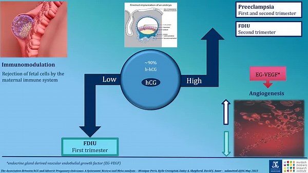 The association between human chorionic gonadotropin and adverse pregnancy outcomes: a systematic review and meta-analysis https://ow.ly/ILUk50QG3lT | American Journal of Obstetrics & Gynecology