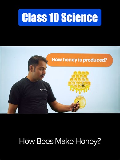 Visit www.merosiksha.com for complete video and more resources for Class 10 Science. -How bees make honey ? Class 10 Science. . . . . . #class10 #class10guide #class10exam #class10tips #examtips #social #samajikadhyan #class10social #class10samajikadhyan #nepali #class10nepali #class10nepaliguide #nepaliguide #grade10nepali #social #class10social #samajikadhyan #class10samajikadhyan #socialguide #maths #seemaths #class10maths #mathstips #mathsmantra #algebra #modelquestions #science #class10scie