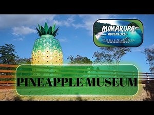 Pineapple Museum | MIMAROPA Adventures | August 14, 2025