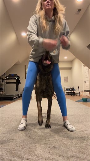 Axel Bubba on Instagram: "Dog training journey 🐾🔥 Tonight was all about FORM over flash. Slowing it down, tightening things up, and using food training for cleaner, clearer results. No rushing, no ego….just intentional reps and better understanding. Sometimes the magic happens when you strip it back to basics and build it the right way. Strong foundations = next-level work. Locked in. Focused. Committed. Let’s go 💪🐕‍🦺✨ #dogtraining #viral #obedience #form #letsgo"
