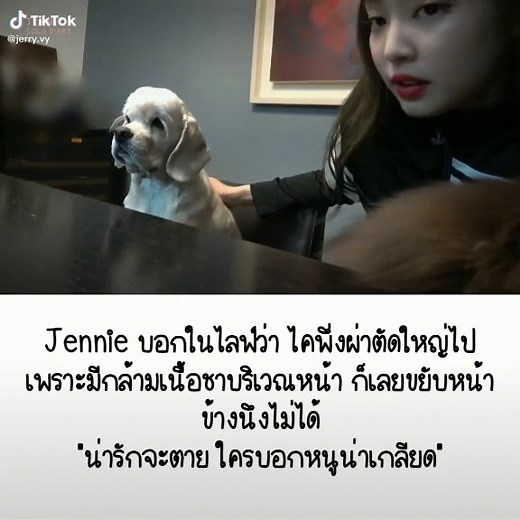 #jennie 🐶
