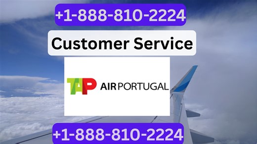 Tap Air Portugal® Customer Service Updated Manual Guide = Step-by-Step Help & Support 24/7 Tap Air Portugal