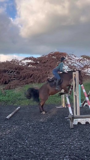 Lily Morris on TikTok