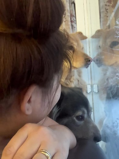 After a long boring day without the kids, this how we wait for them 🤣 | Kam Guk