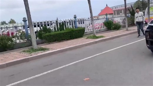 Chinese driver tows his Tesla with an OX in protest when car stops working