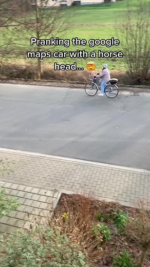 Pranking Google Maps with a Horse Head Meme