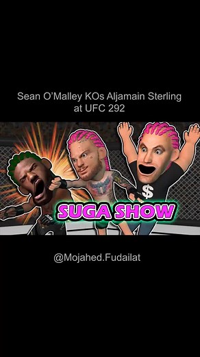‏Sean O’Malley KOs Aljamain Sterling at UFC 292 #UFC #MMA #Animation