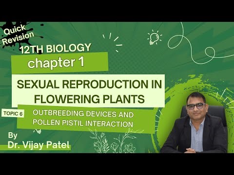 Outbreeding Devices & Pollen–Pistil Interaction | STD 12 Biology Chapter 1| NEET 2025 Quick Revision