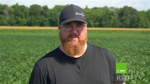 BASF TV Spot, 'Healthy: Revytek'