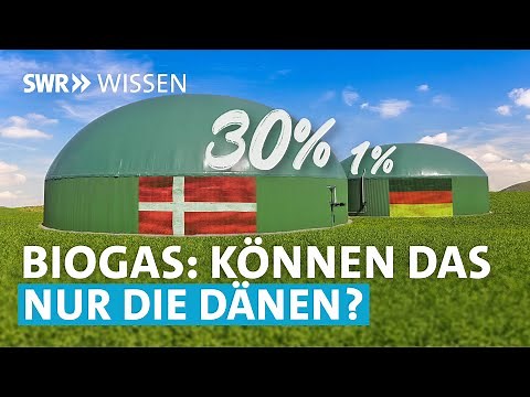 Ist Biogas eine echte Alternative zu Erdgas? | SWR Wissen