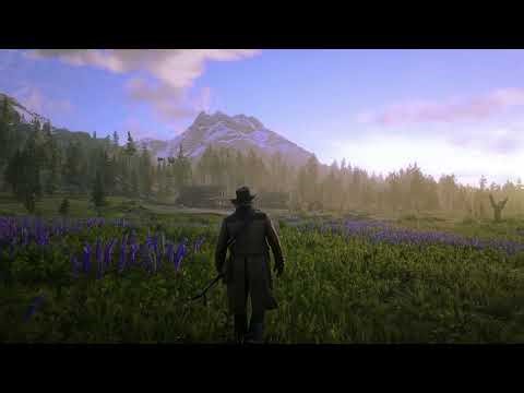 Red Dead Redemption II Beauty