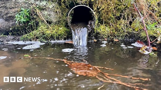 Water companies illegally dumping sewage in England and Wales' rivers