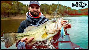 23K views · 164 reactions | Spencer Shuffield Fishing dives deep into the subject of when, where, and how to catch fall bass using squarebill crankbaits in this extremely insightful and informative video. ⬇️ • Hardcore Crank SR 65F, color: Citrus Shad: https://wired2.fish/HardcoreCrankSR65 | Wired2Fish | Facebook