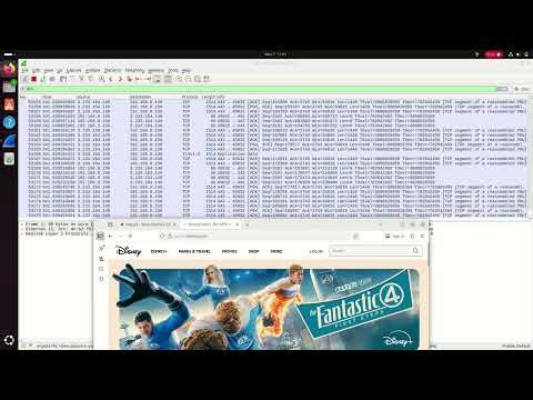 Wireshark Website-Demo