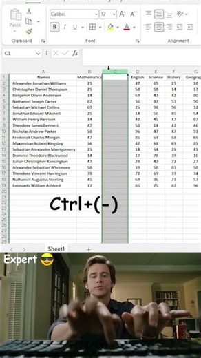 How to Insert Rows and Columns in Excel