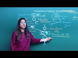 Recombinant Insulin of Biology for NEET 2019 and CBSE - Misostudy Video Lecture