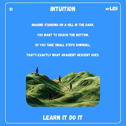 #MyLidiSeries - How AI Models Actually Learn | Optimization Explained Simply