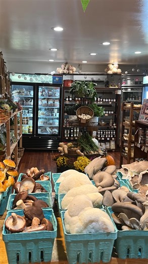 Full shop feeling ✨🌾 another great day welcoming so many new faces to the shop! Thank you everyone for spreading the word about People’s Provisions — we are so grateful to be able to connect this food to so many people! Today we received 7 varieties of apples, cider, 5 types of mushrooms & organic cranberries! It’s really Thanksgiving season! We also have restocked our organic flours & oats from small valley milling! Tomorrow morning we will pick up figs & persimmons & will get our bread delive
