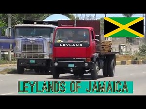 Leylands of Jamaica
