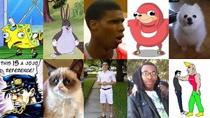 The Top 50 Memes of the Decade: 30-21