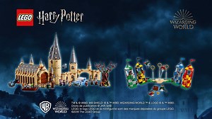 2.2M views · 886 reactions | Salut les moldus, Topito s'est associé à LEGO pour vous faire gagner des ensembles LEGO Harry Potter, mais pour ça il va falloir être bon ! Si vous arrivez à nous dire dans les commentaires à quelle minute de Harry Potter à l'école des sorciers correspond la scène ci-dessous, vous aurez peut-être une chance ! | Topito | Facebook