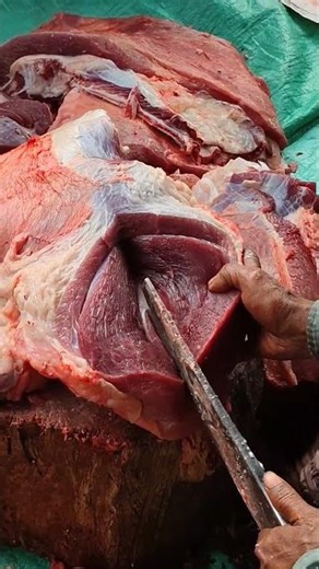 Beef Meat🍖Cutting Way