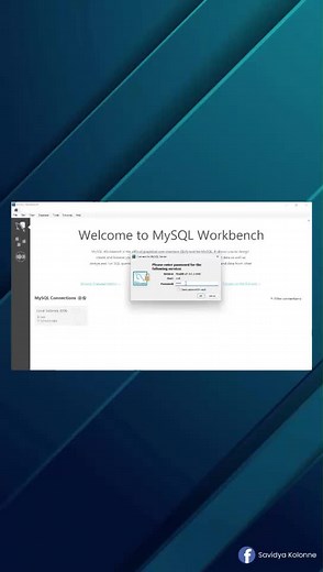 MySQL Workbench Root Password Reset on Windows 11